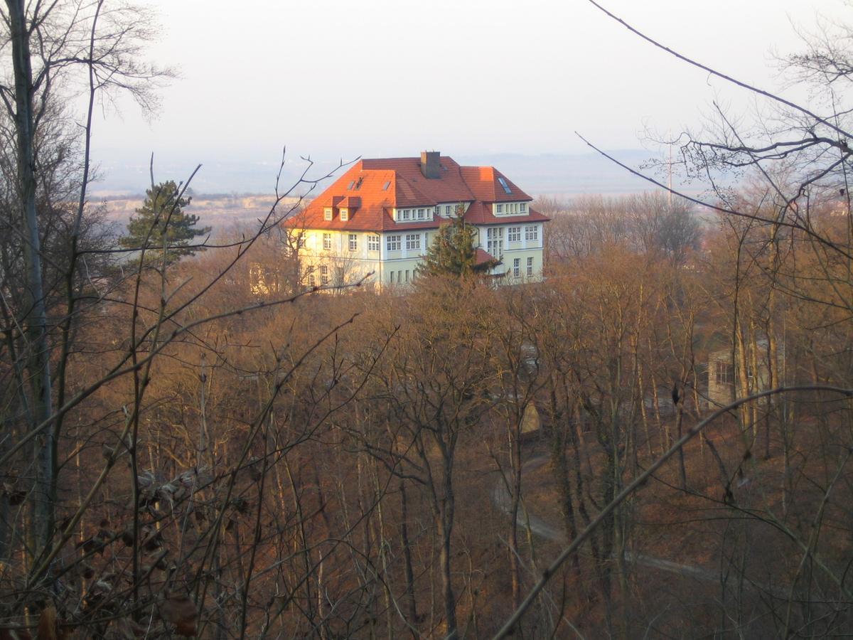 Hotel Stubenberg Gernrode  Extérieur photo