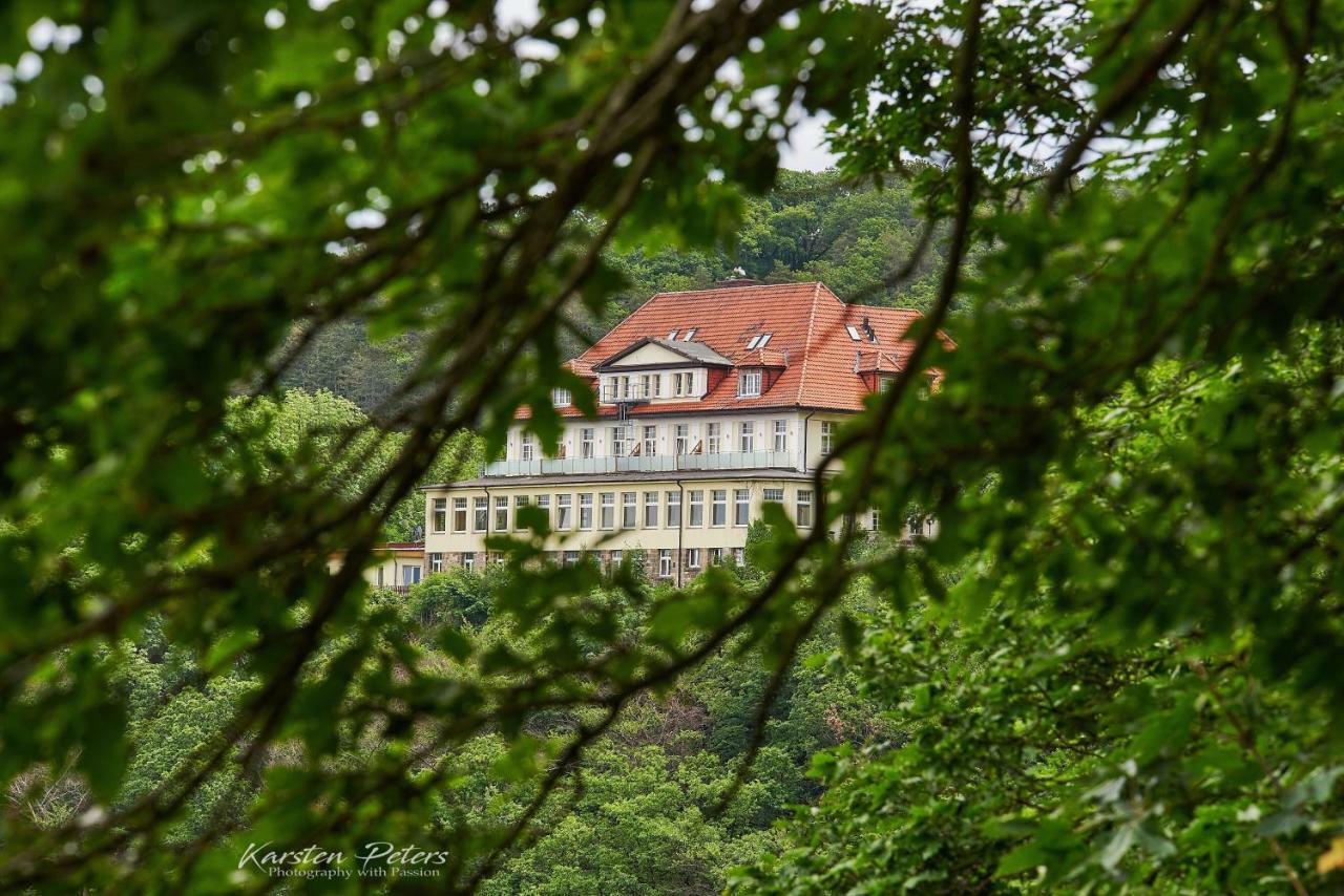 Hotel Stubenberg Gernrode  Extérieur photo